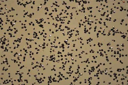 CBN Micron Powder-B00 Grade