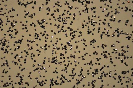 CBN Micron Powder-B50 Grade