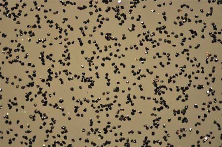 CBN Micron Powder-B50 Grade