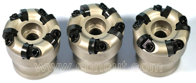 FMR 50mm milling cutter for RNGN12