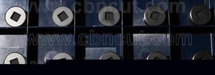 RNGS Dimple PCBN Insert