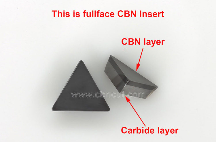 TNGN CBN Insert