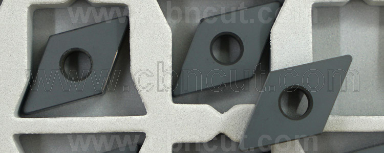 DNGA CBN Insert
