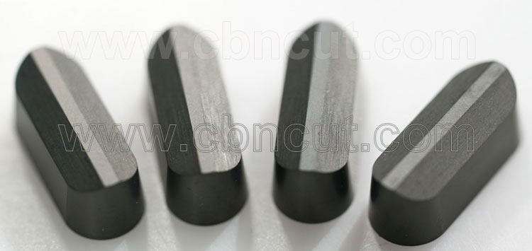 LBMN CBN Insert
