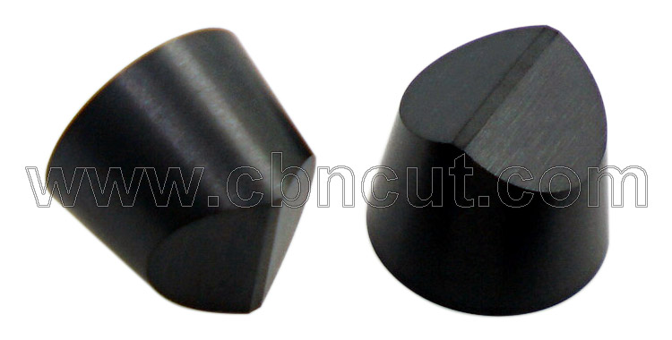 RCGX Solid CBN Insert