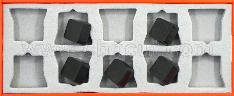 SCGN Solid CBN Insert